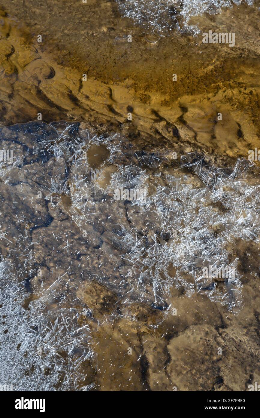 Motif printanier de fond de ruisseau sablonneux et de croûte de glace translucide gros plan Banque D'Images