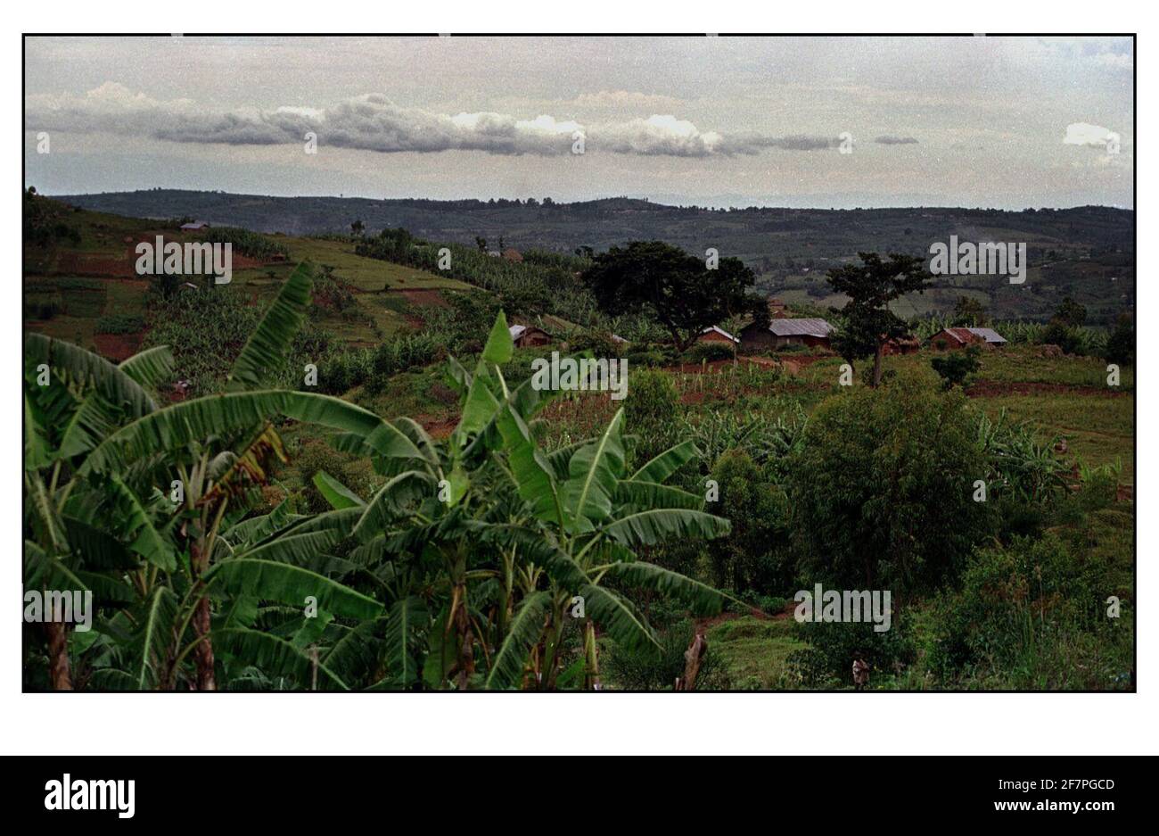 Collines paisibles de Kariba en Ouganda avril 2000 dans une maison sous les deux arbres, 81 personnes ont été assassinées et enterrées sous la maison en commune culte Banque D'Images