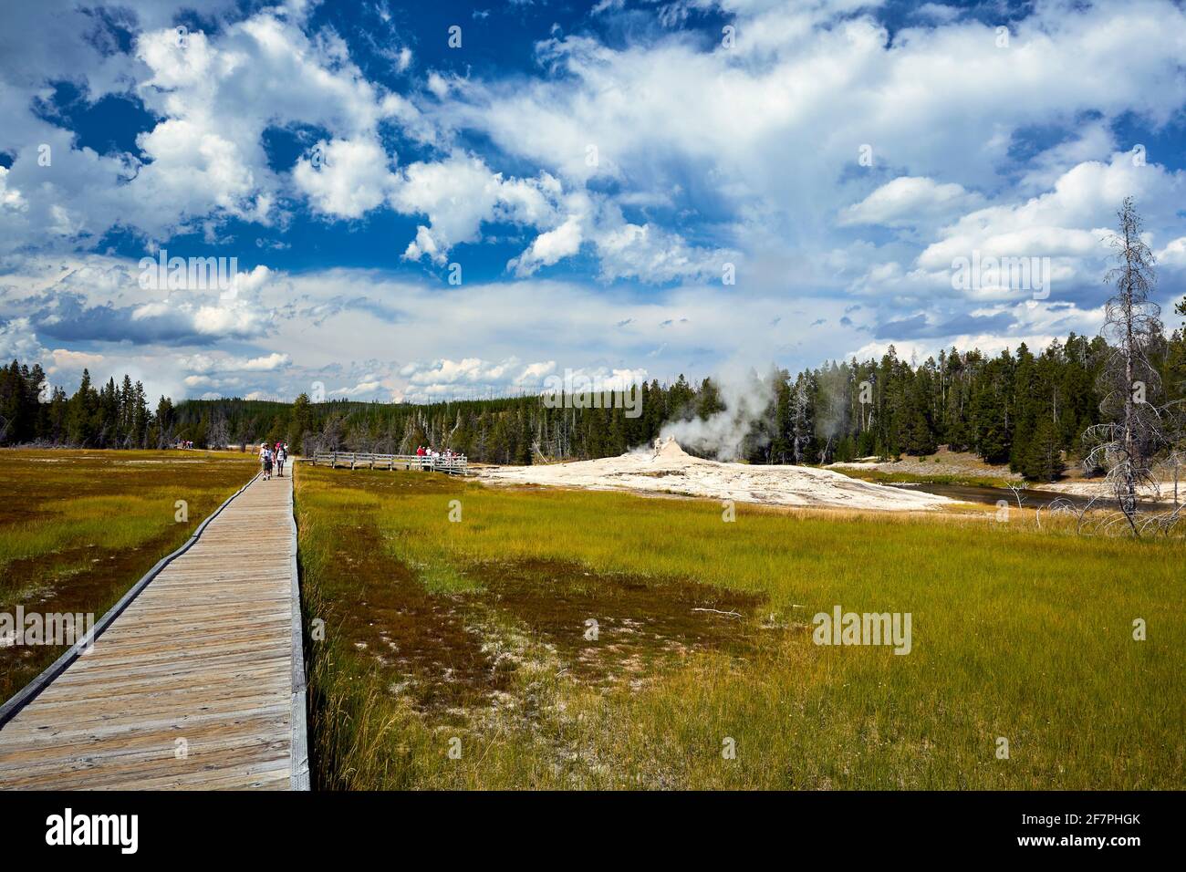 Itinéraire touristique de marche dans le parc national de Yellowstone. Wyoming. ÉTATS-UNIS. Banque D'Images