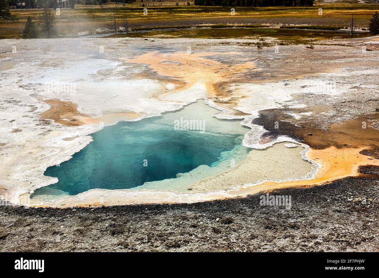 Dépression Geyser. Parc national de Yellowstone. Wyoming. ÉTATS-UNIS. Banque D'Images