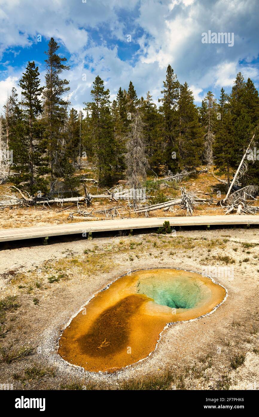 Heart Spring dans le parc national de Yellowstone. Wyoming. ÉTATS-UNIS. Banque D'Images