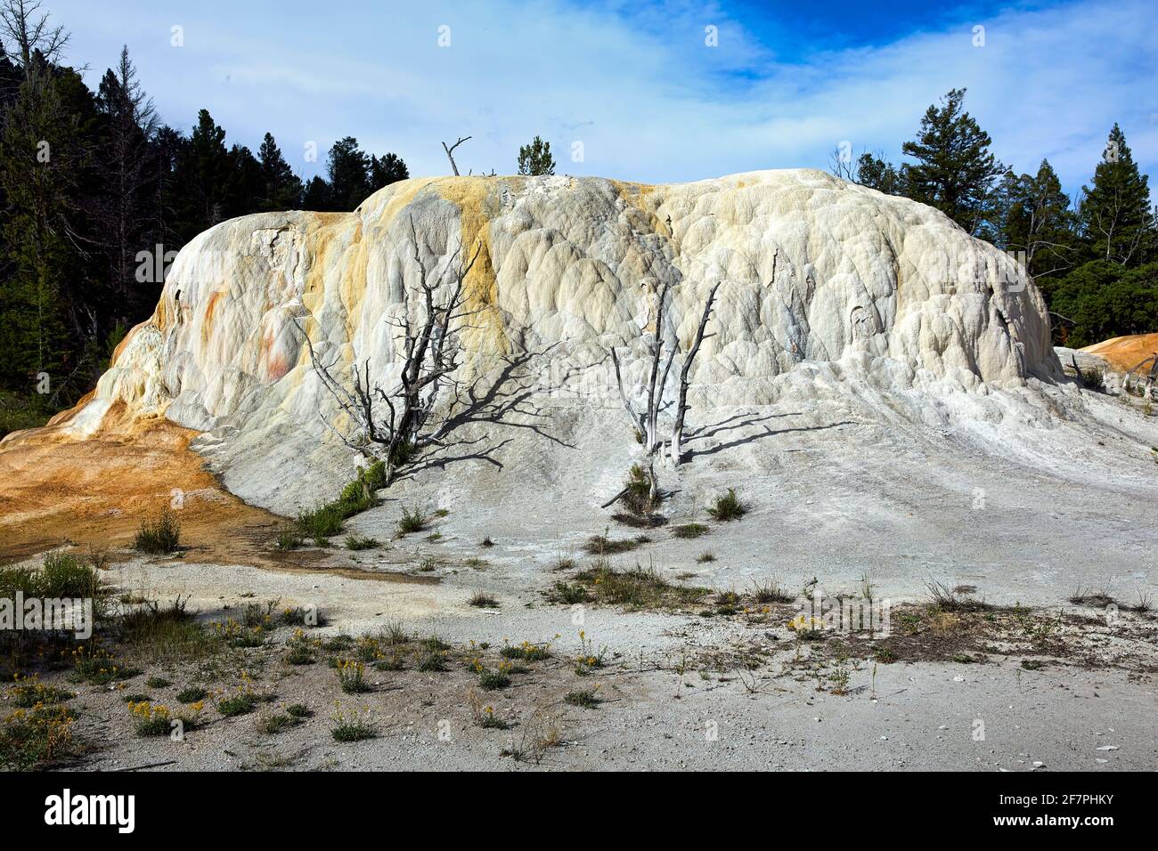 Orange Spring Mound at the Mammoth Hot Springs. Parc national de Yellowstone. Wyoming. ÉTATS-UNIS. Banque D'Images