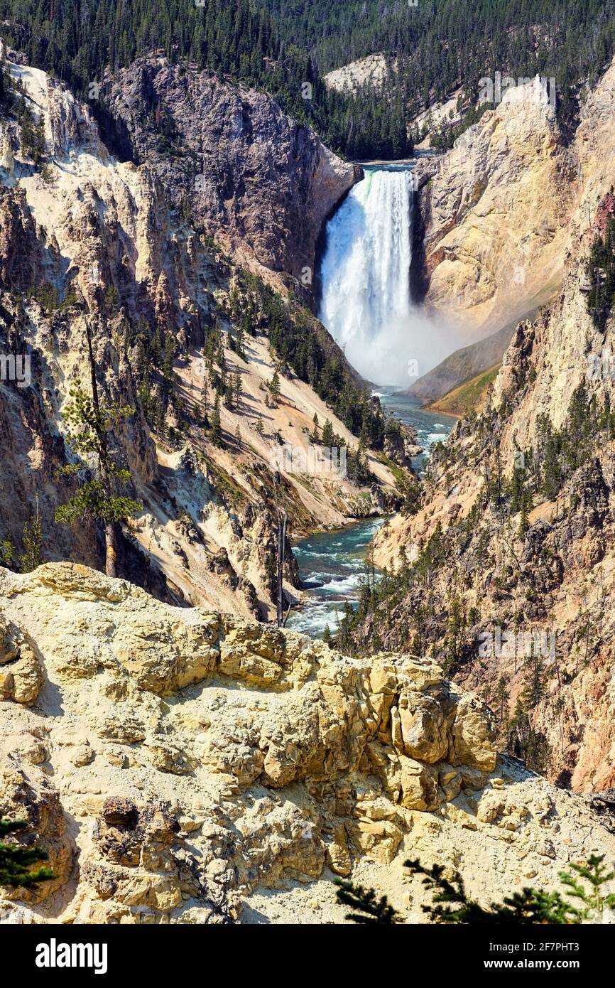 Le Grand Canyon Artist point dans le parc national de Yellowstone. Wyoming. ÉTATS-UNIS. Banque D'Images