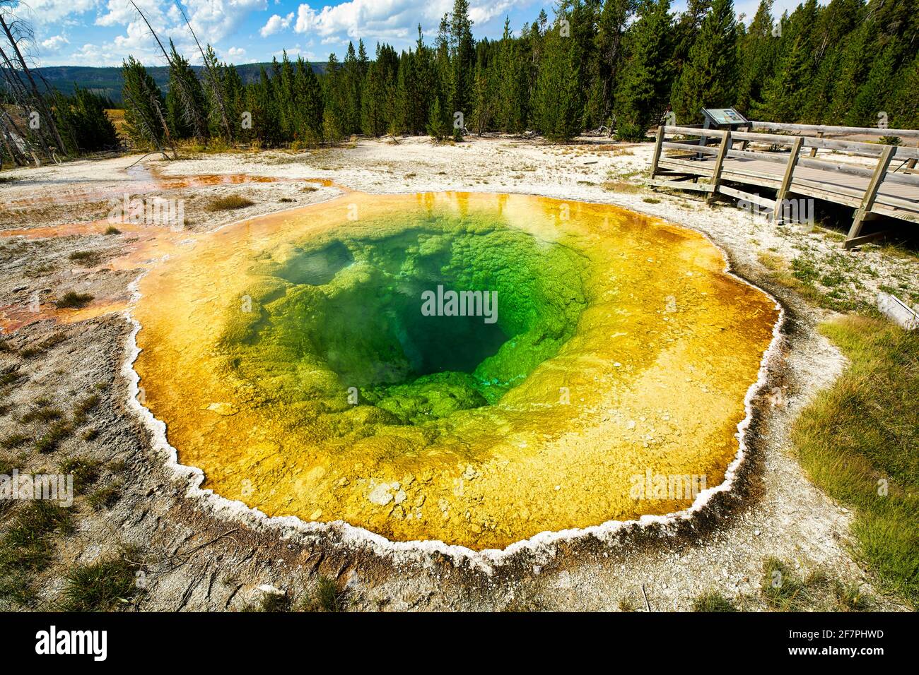 Piscine Morning Glory dans le parc national de Yellowstone. Wyoming. ÉTATS-UNIS. Banque D'Images