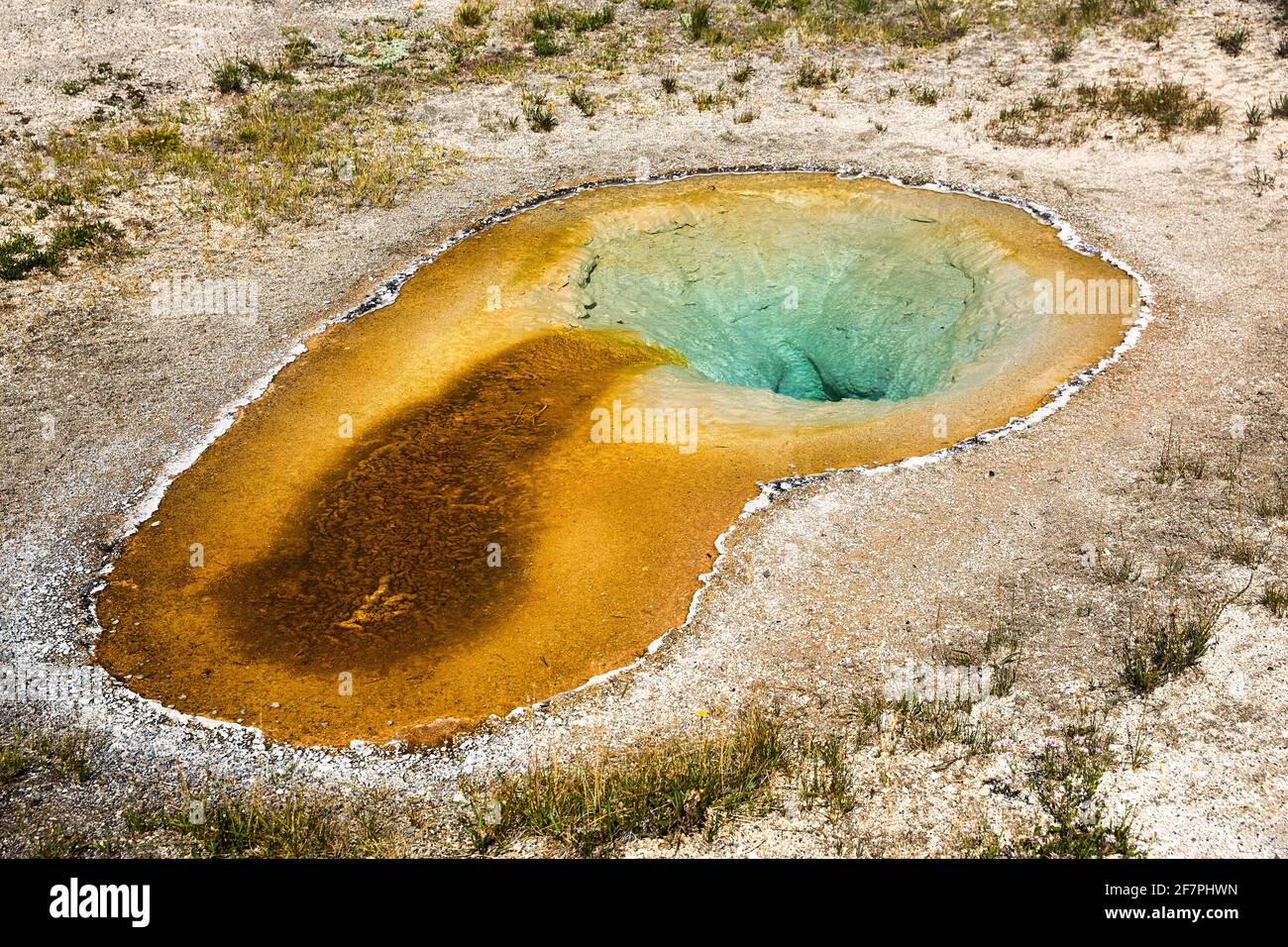 Heart Spring dans le parc national de Yellowstone. Wyoming. ÉTATS-UNIS. Banque D'Images