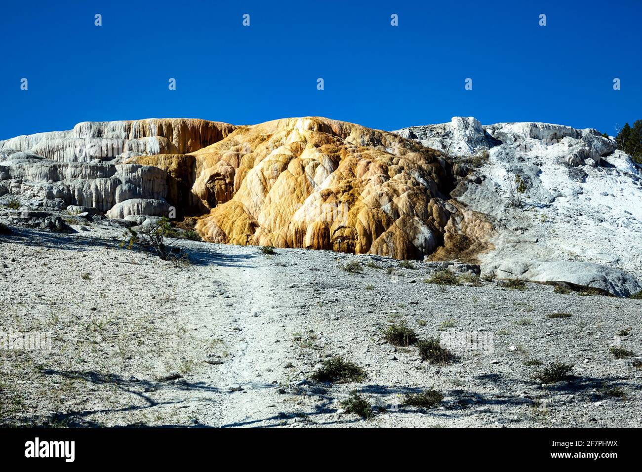 Cleopatra Terrace à Mammoth Hot Springs. Parc national de Yellowstone. Wyoming. ÉTATS-UNIS. Banque D'Images