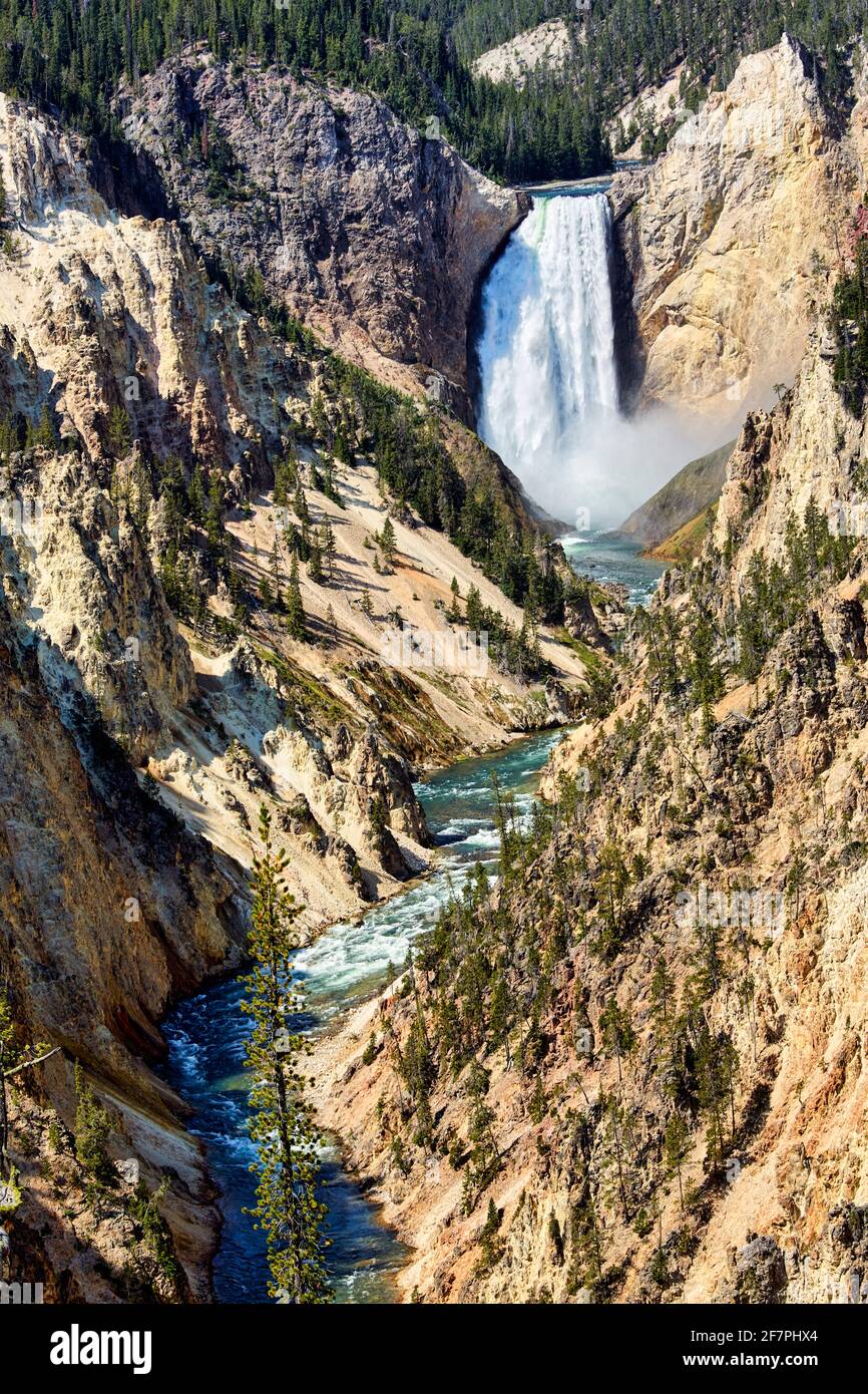 Le Grand Canyon Artist point dans le parc national de Yellowstone. Wyoming. ÉTATS-UNIS. Banque D'Images