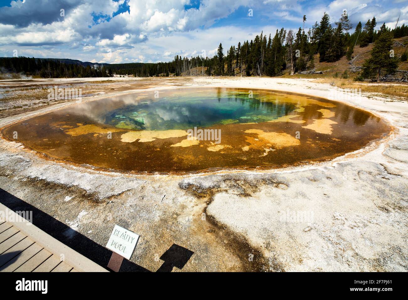 Piscine de beauté dans le parc national de Yellowstone. Wyoming. ÉTATS-UNIS. Banque D'Images
