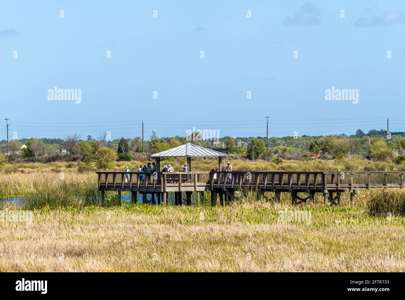 Plate-forme d'observation et promenade dans la zone des terres humides de Celery Fields À Sarasota Floride Etats-Unis Banque D'Images