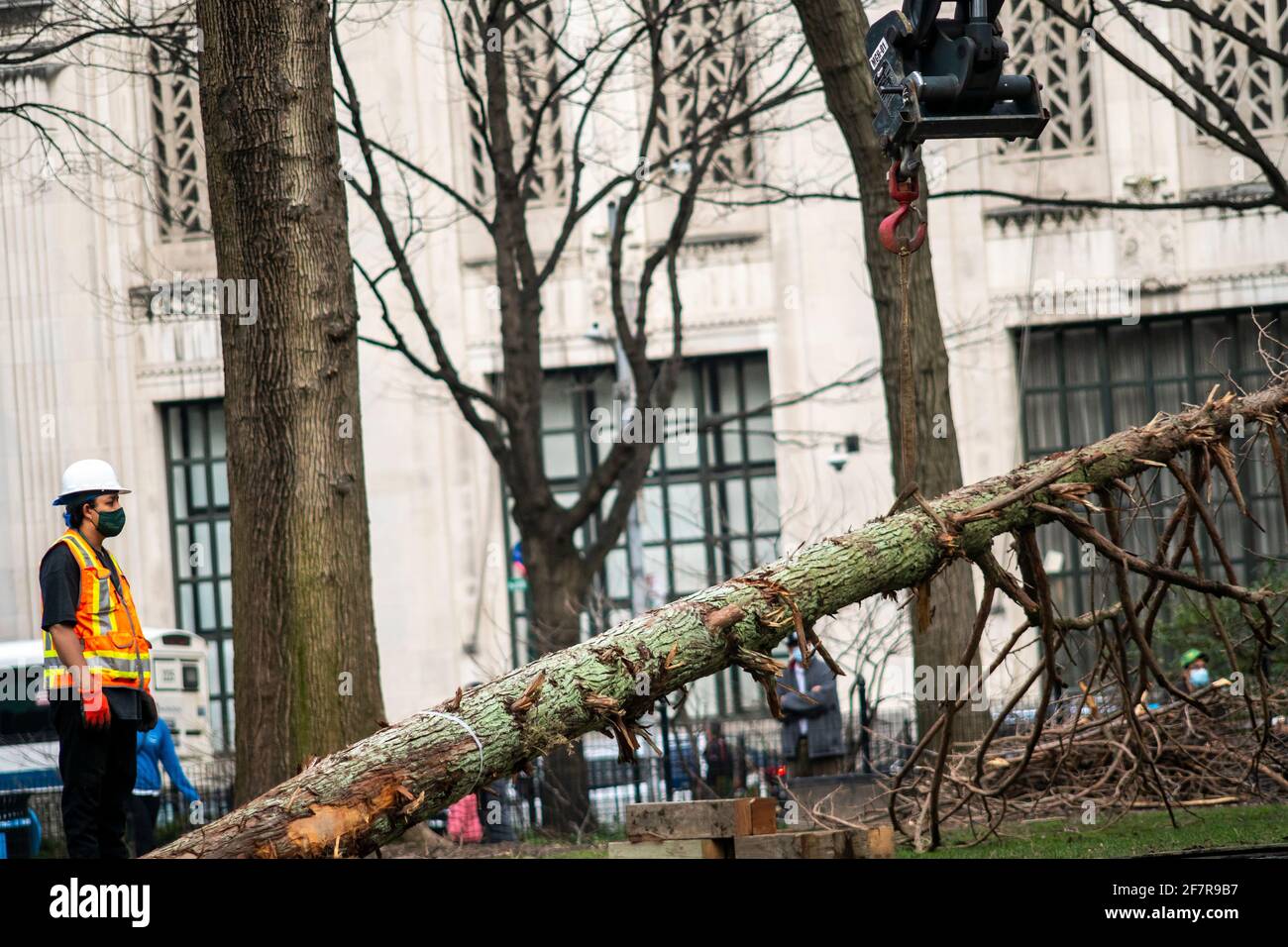 Les travailleurs installent la « Forêt fantôme » de Maya Lin sur la pelouse du Madison Square Park à New York le jeudi 25 mars 2021. L'installation sensible au site se compose de cèdres morts récoltés à partir de la Pine Barrens du New Jersey et contrainera avec les arbres du parc une fois qu'ils auront fini par commencer à fleurir. L'installation aborde le changement climatique et la perte d'habitat le rappelle aux téléspectateurs de prendre des mesures. L'exposition ouvre officiellement le 10 mai et sera exposée jusqu'au 14 novembre.(© Richard B. Levine) Banque D'Images