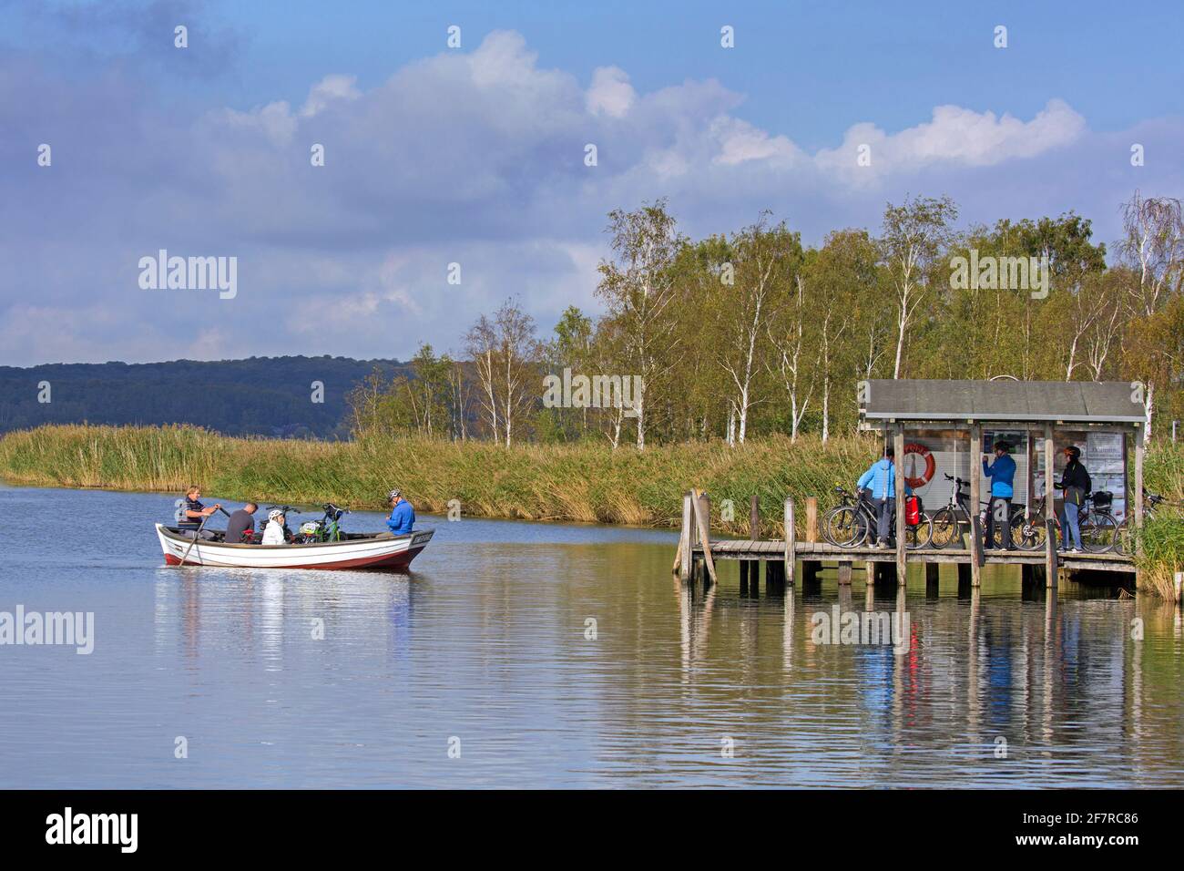 Moritzdorf ferry de passagers à travers le Baaber Bek sur l'île Rügen / Ruegen, barque reliant Baabe à Sellin dans Mecklenburg-Vorpommern, Allemagne Banque D'Images