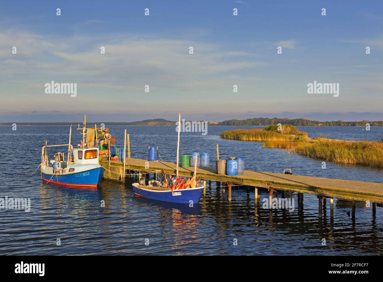 Bateaux de pêche amarrés le long de la jetée en bois à Neu Reddevitz, Lancken-Granitz sur l'île Rügen / Ruegen, Mecklembourg-Poméranie occidentale, Allemagne Banque D'Images
