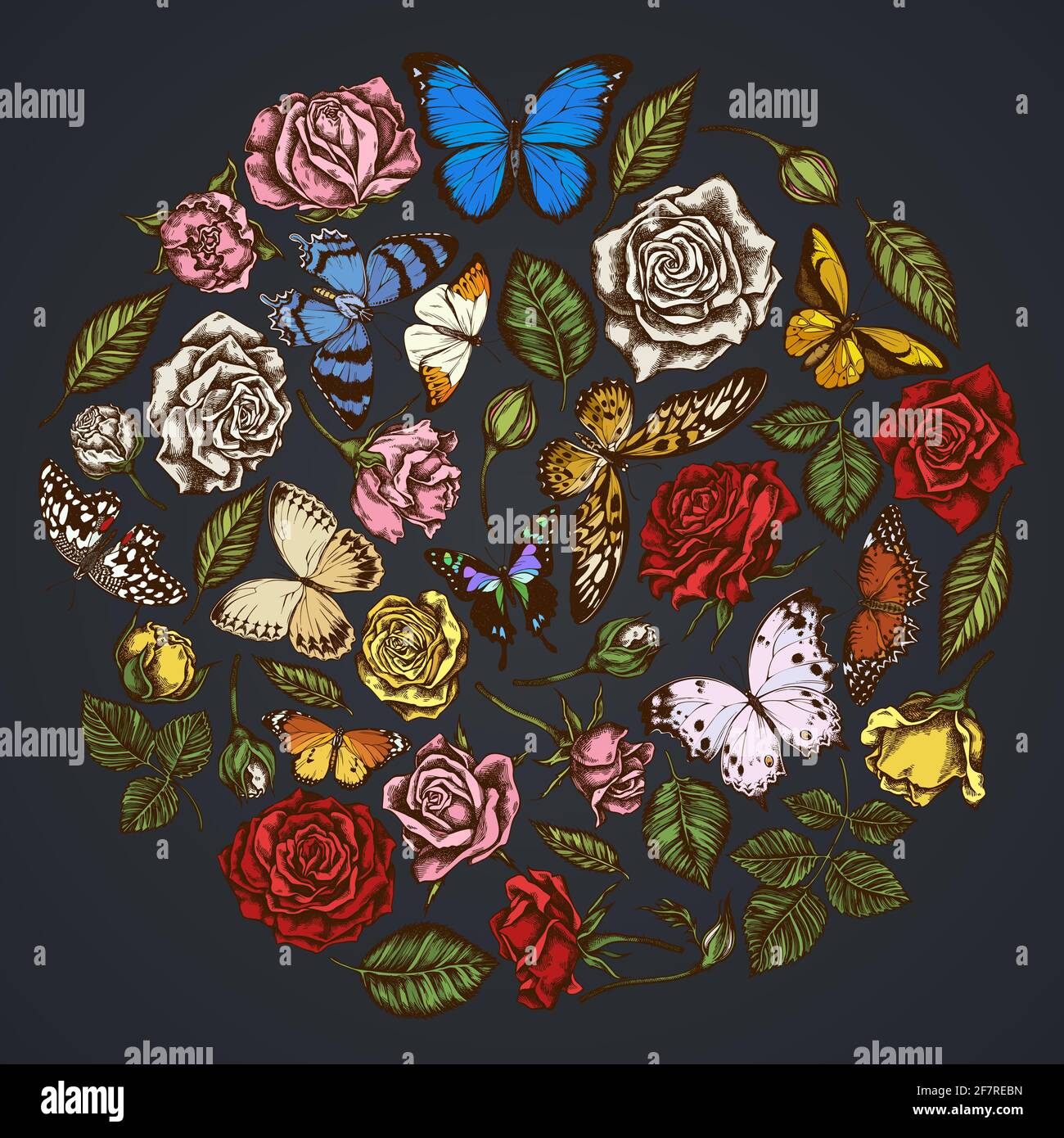 Motif floral rond sur fond sombre avec morpho bleu de menelaus, papillon de citron, croquant rouge, queue d'allowtail géant africain, alcides agathyrsus Illustration de Vecteur