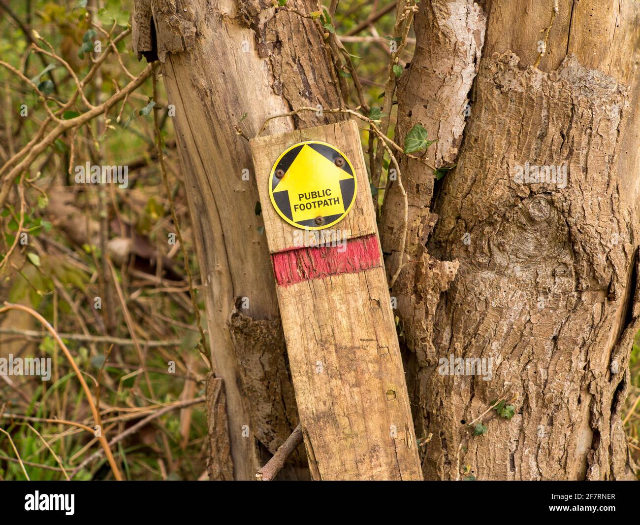 Un signe de chemin de pied cassé dans le pays posant inutile contre un arbre Banque D'Images
