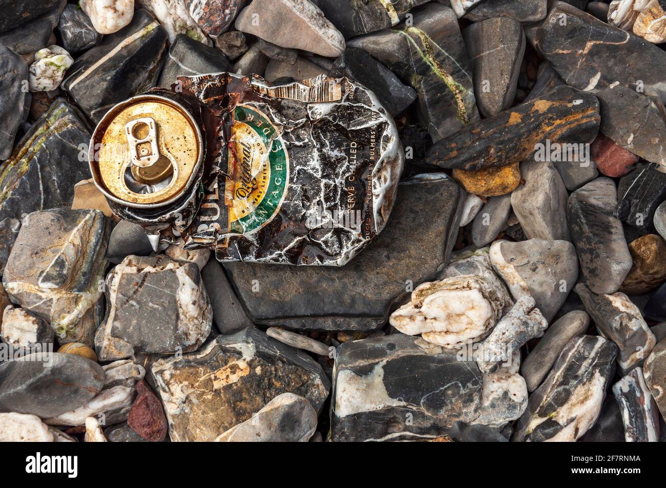 La bière à base de cidre Rusty Bulmers peut être jetée sur des galets colorés à la plage de galets au Royaume-Uni comme concept de pollution et problème environnemental. Banque D'Images