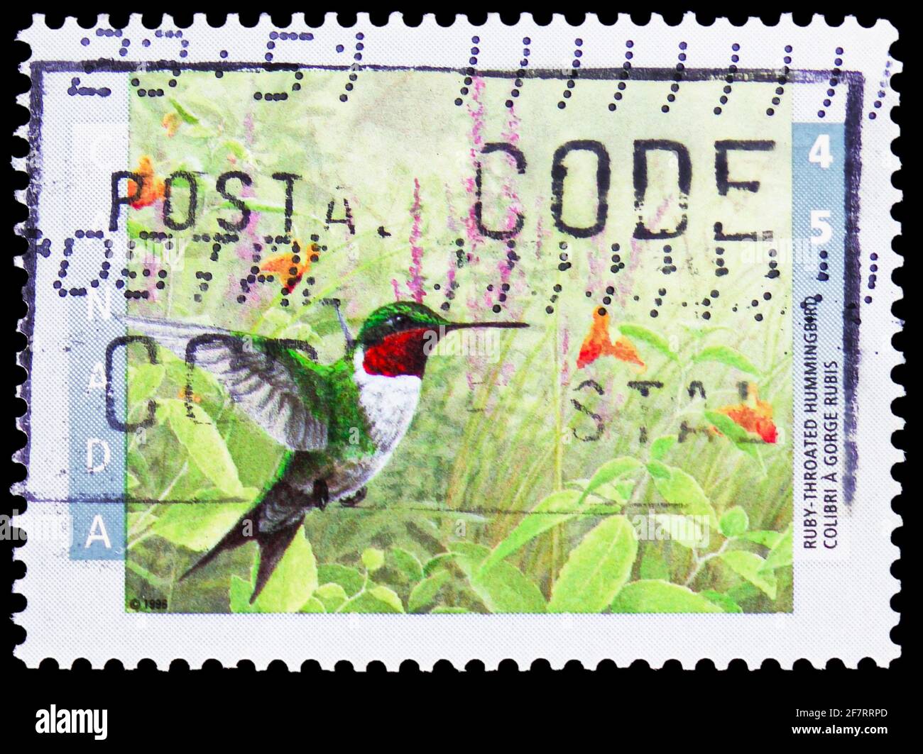 MOSCOU, RUSSIE - le 17 JANVIER 2021 : le timbre-poste imprimé au Canada montre le colibris à gorge rubis (Archilochus colubris), oiseaux du Canada (1re série Banque D'Images