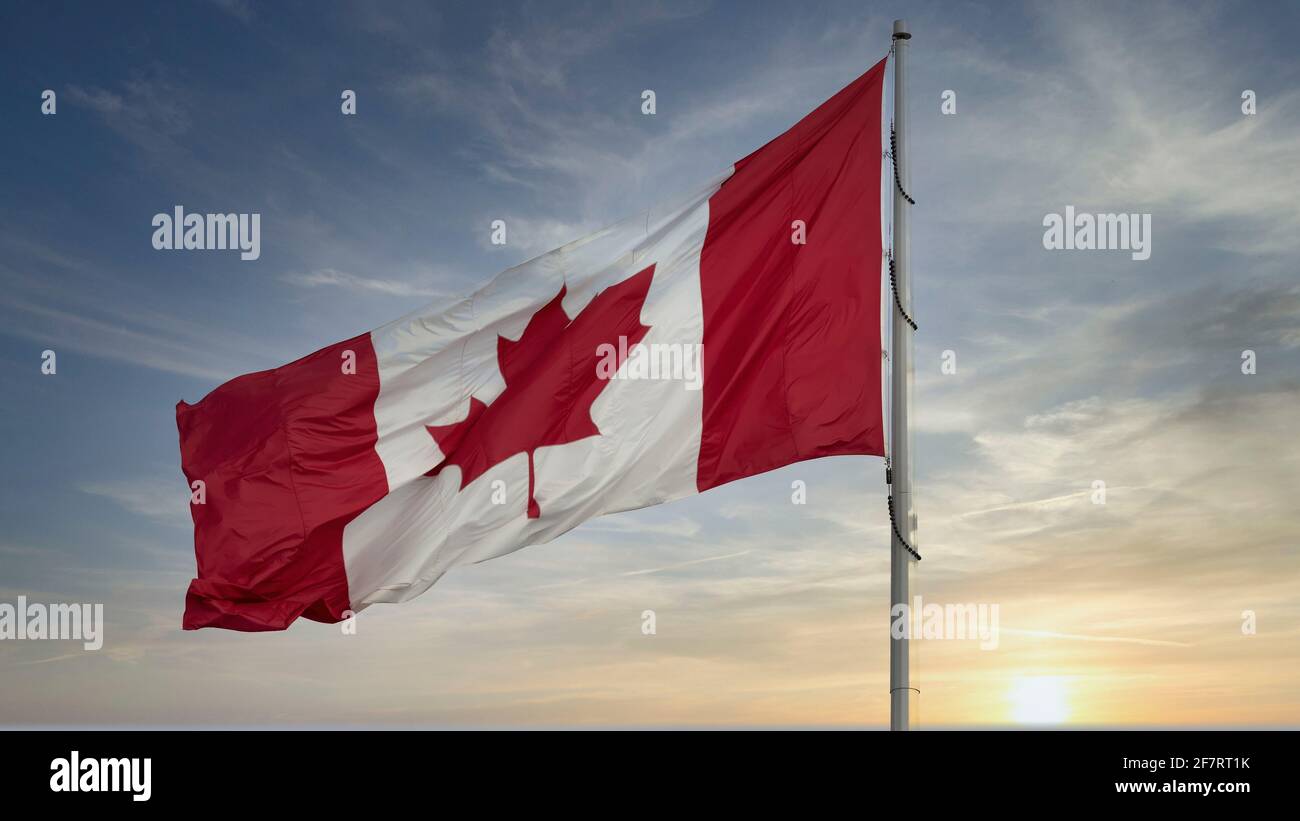 Drapeau canadien de la feuille d'érable sur le mât. Banque D'Images