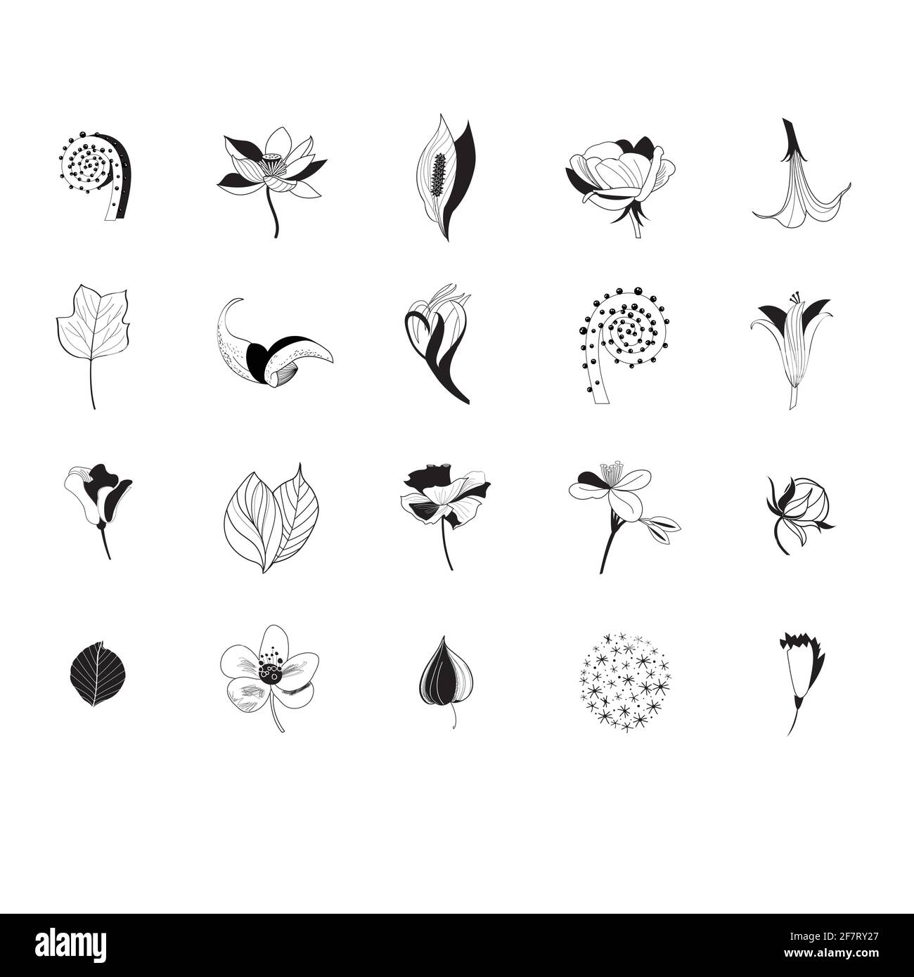 Ensemble d'icônes graphiques de fleurs et de plantes sur fond blanc. Illustration de Vecteur