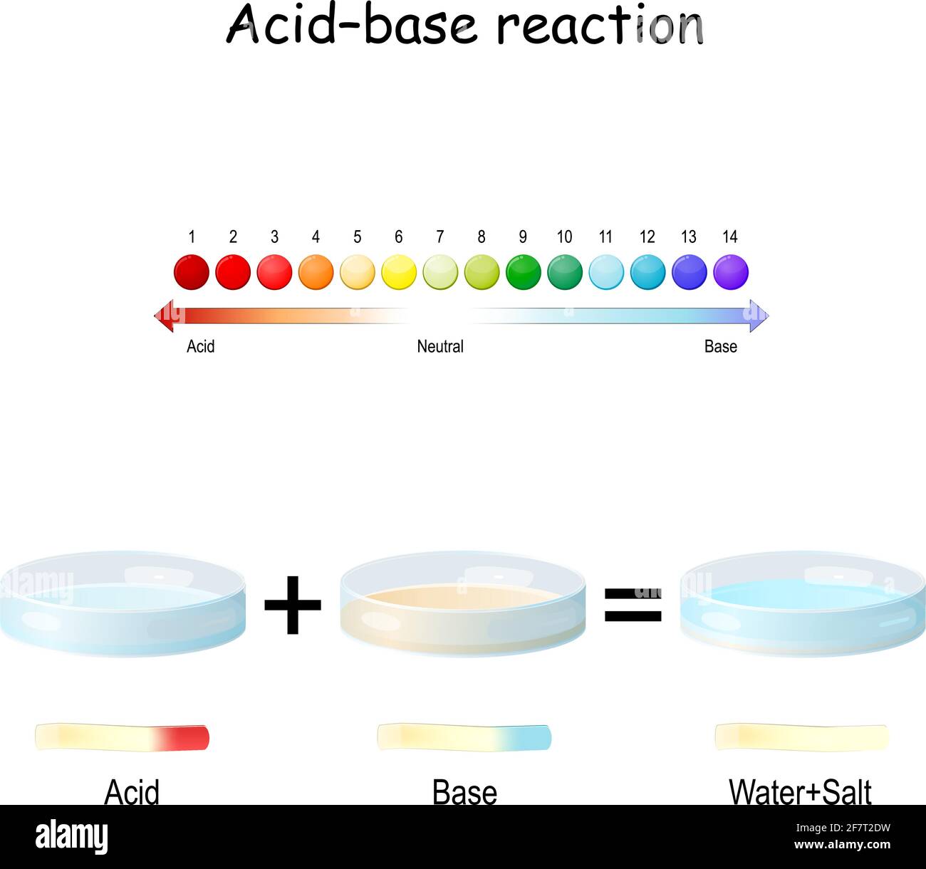Réaction acide–base. Réaction chimique entre un acide et une base. Utilisée pour déterminer le pH. Théorie de Bronsted–Lowry. Échelle de pH. Résultats des tests sur papier de tournesol Illustration de Vecteur