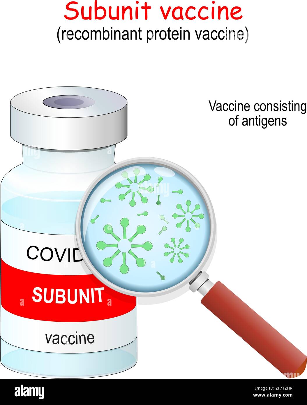 Coronavirus Covid-19. Vaccins protéiques recombinants. Vaccin sous-unitaire composé d'antigènes. Flacon de vaccin et loupe. Illustration vectorielle Illustration de Vecteur