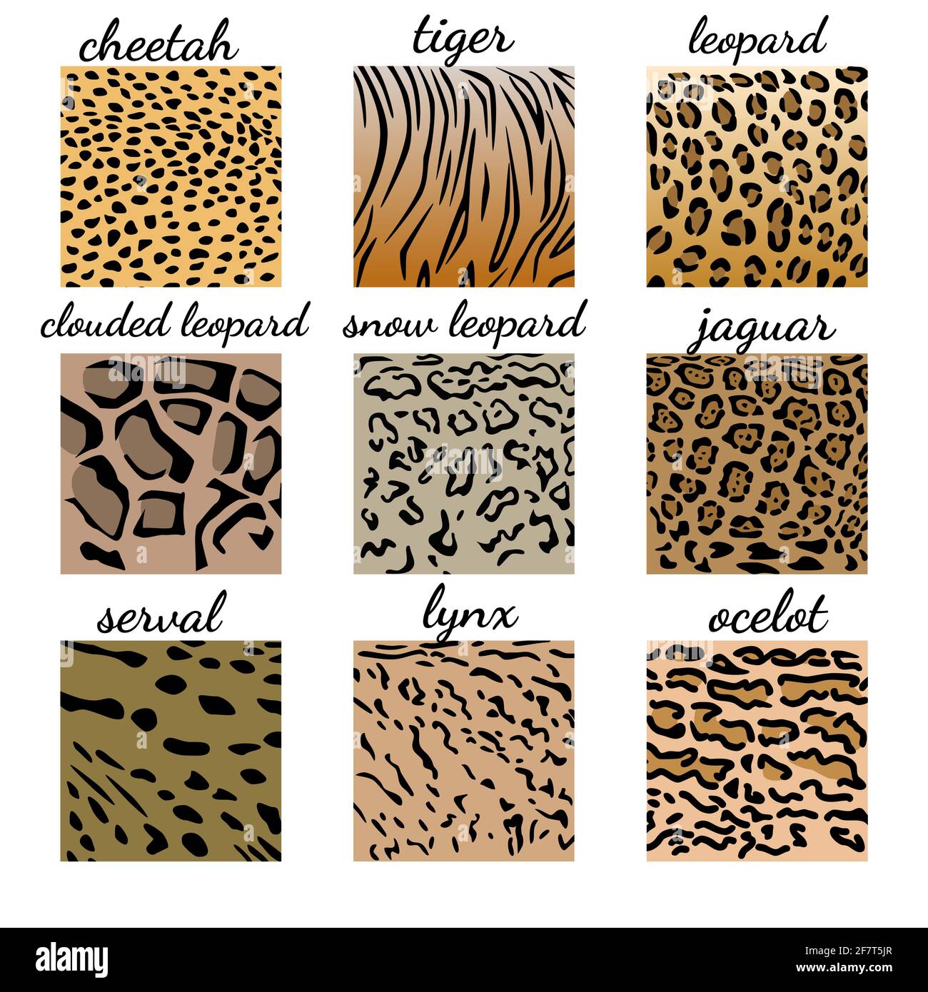 Jeu correspondant. Trouvez le motif corect de la famille de chats. Rechercher la texture des animaux. Quiz, jeu et page d'activité. Illustration vectorielle.pu Illustration de Vecteur