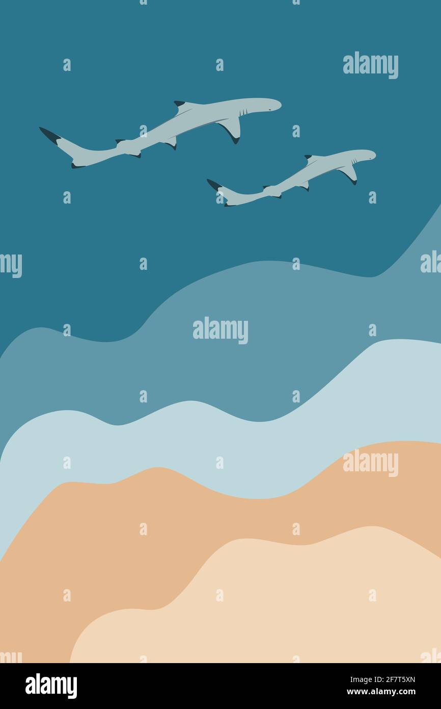 Deux requins de récif nageant près de la mer sur un arrière-plan abstrait de paysage marin, sable, illustration de vecteur d'eau Illustration de Vecteur