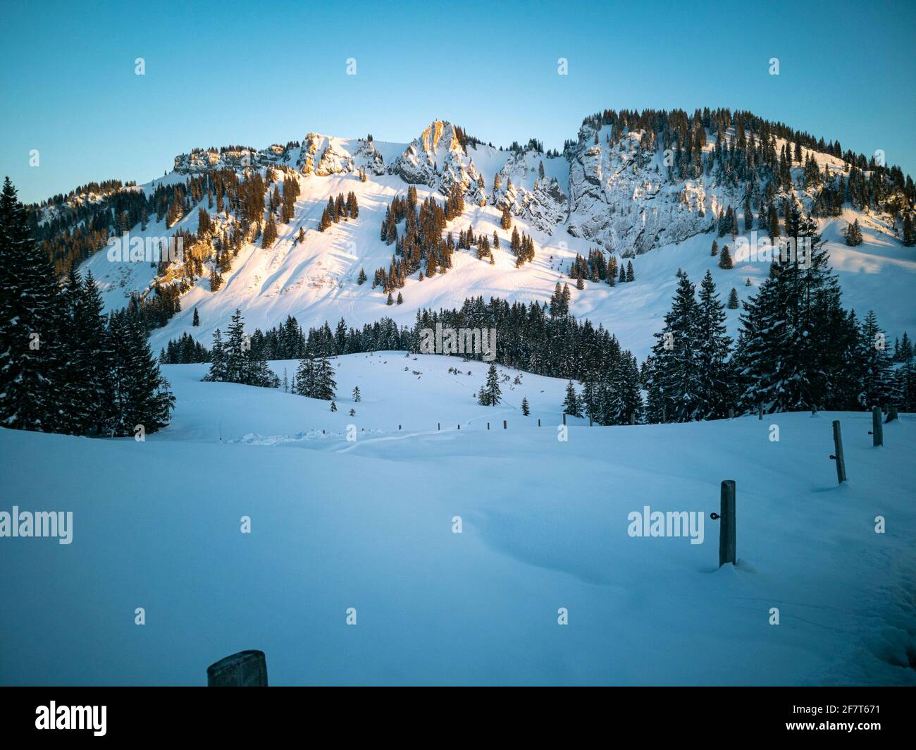 Allemagne, Bavière, Allgäu, Grasgehren, Riedbergpass, Vue sur la montagne de Besler Banque D'Images