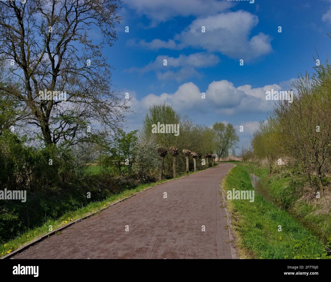 Spazierweg im Naherholungsgebiet von Leer - Ostfriesland Banque D'Images