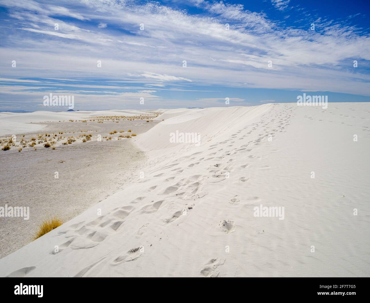 Empreintes de pieds le long des dunes de sable au parc national de White Sands, Nouveau-Mexique, Banque D'Images