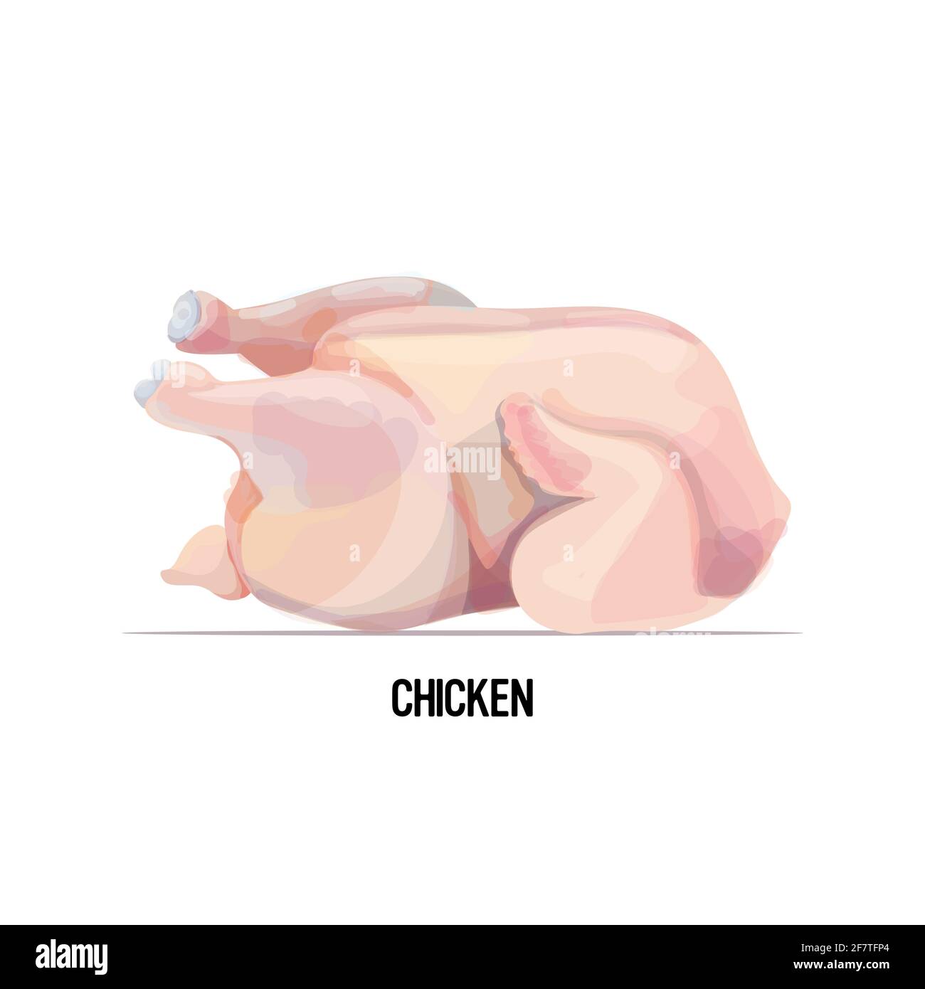 poulet cru frais entier isolé sur fond blanc Illustration de Vecteur