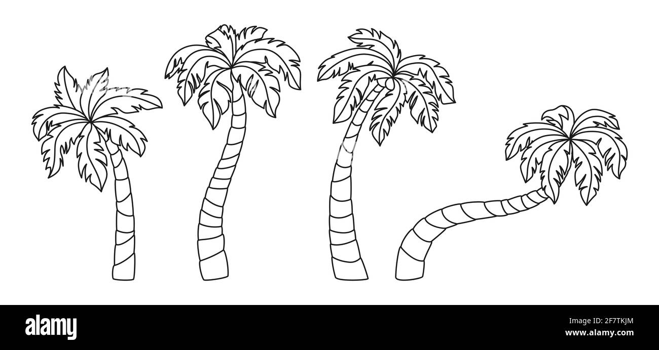 Ensemble de dessin animé pour cocotier et palmier. Élément de conception de palmiers à lignes noires tropicales. Arbre dessiné à la main avec des feuilles, des plantes matures et jeunes de la forêt tropicale. Isolé sur une illustration vectorielle blanche Illustration de Vecteur