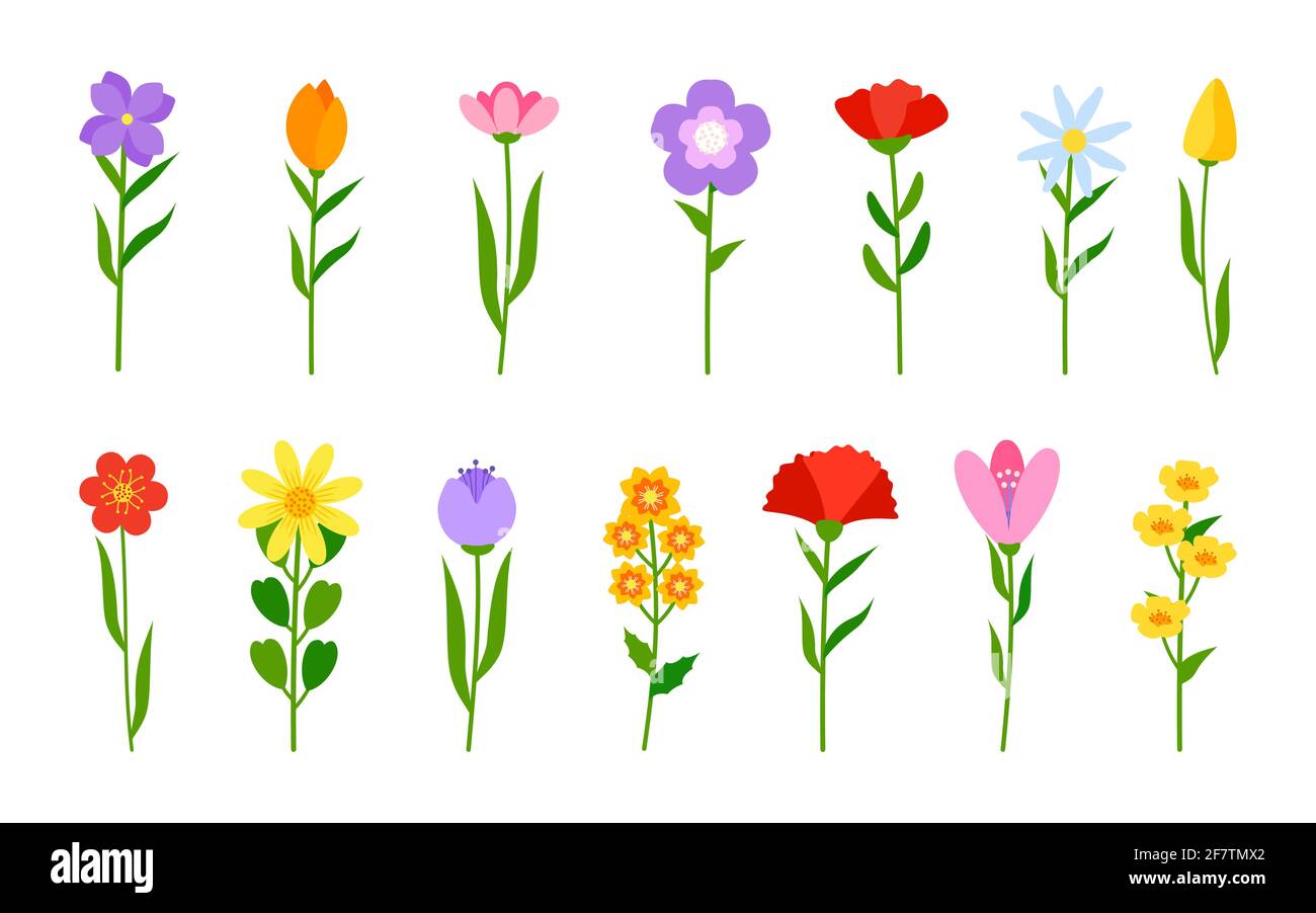 Fleurs de différentes couleurs dans un style de dessin animé plat. Décor romantique fleuri. Tulipe de printemps, jonquilles ou pâquerette sur la tige. Fleur simple avec branche verte et feuille. Fleur plante illustration de vecteur isolé Illustration de Vecteur