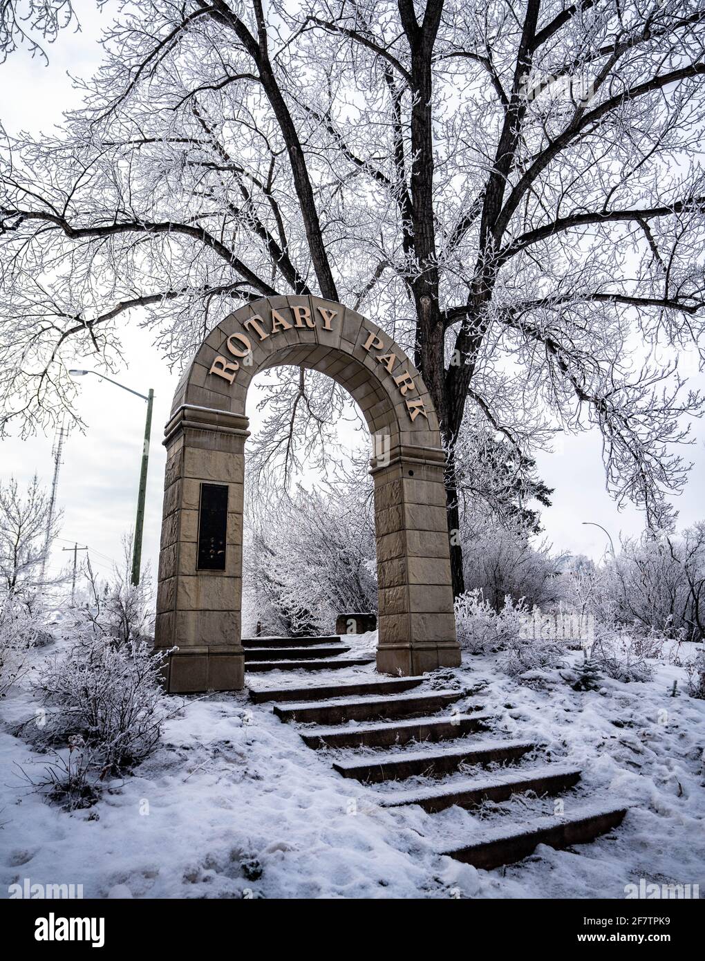 Paysage du parc de la ville en hiver avec des arbres gelés Banque D'Images
