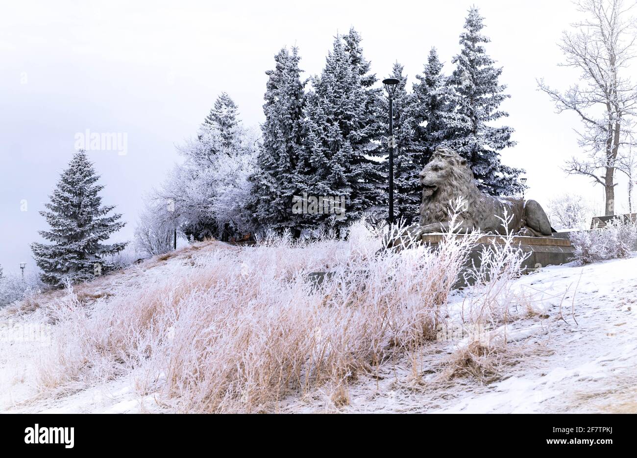 Paysage de colline givrée avec statue de lion Banque D'Images