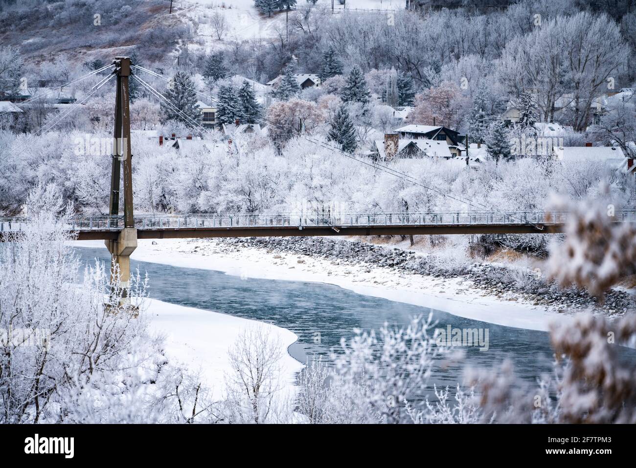 Paysage de pont et de rivière avec fond d'arbre gelé Banque D'Images