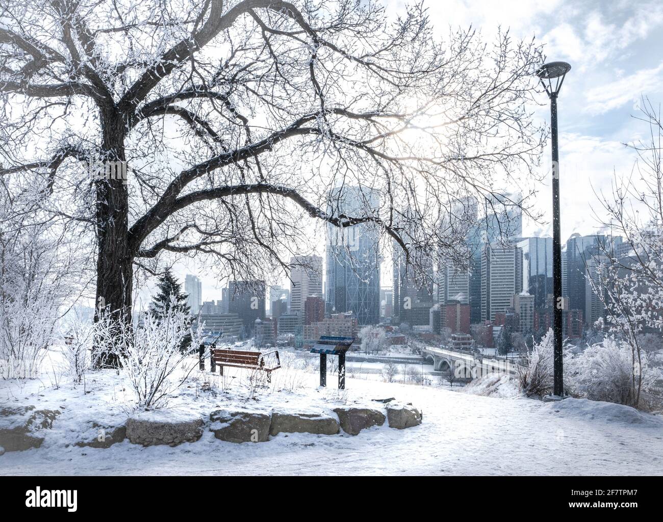 Paysage de parc de la ville en hiver avec point de vue du centre-ville Banque D'Images