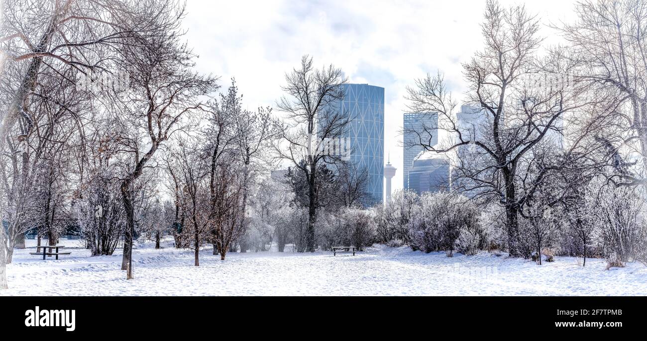 Paysage du parc de la ville en hiver avec des arbres gelés et centre-ville en arrière-plan Banque D'Images