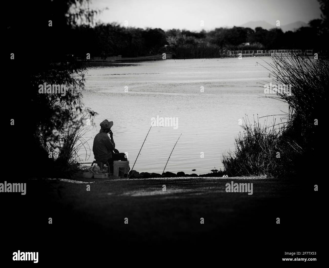 Homme isolé pêche de la rive de l'étang Banque D'Images