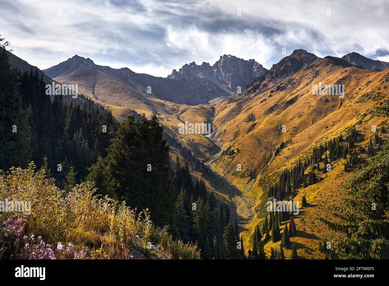 Vue aérienne de la vallée de montagne avec forêt luxuriante et rocky Peaks au Kazakhstan Banque D'Images