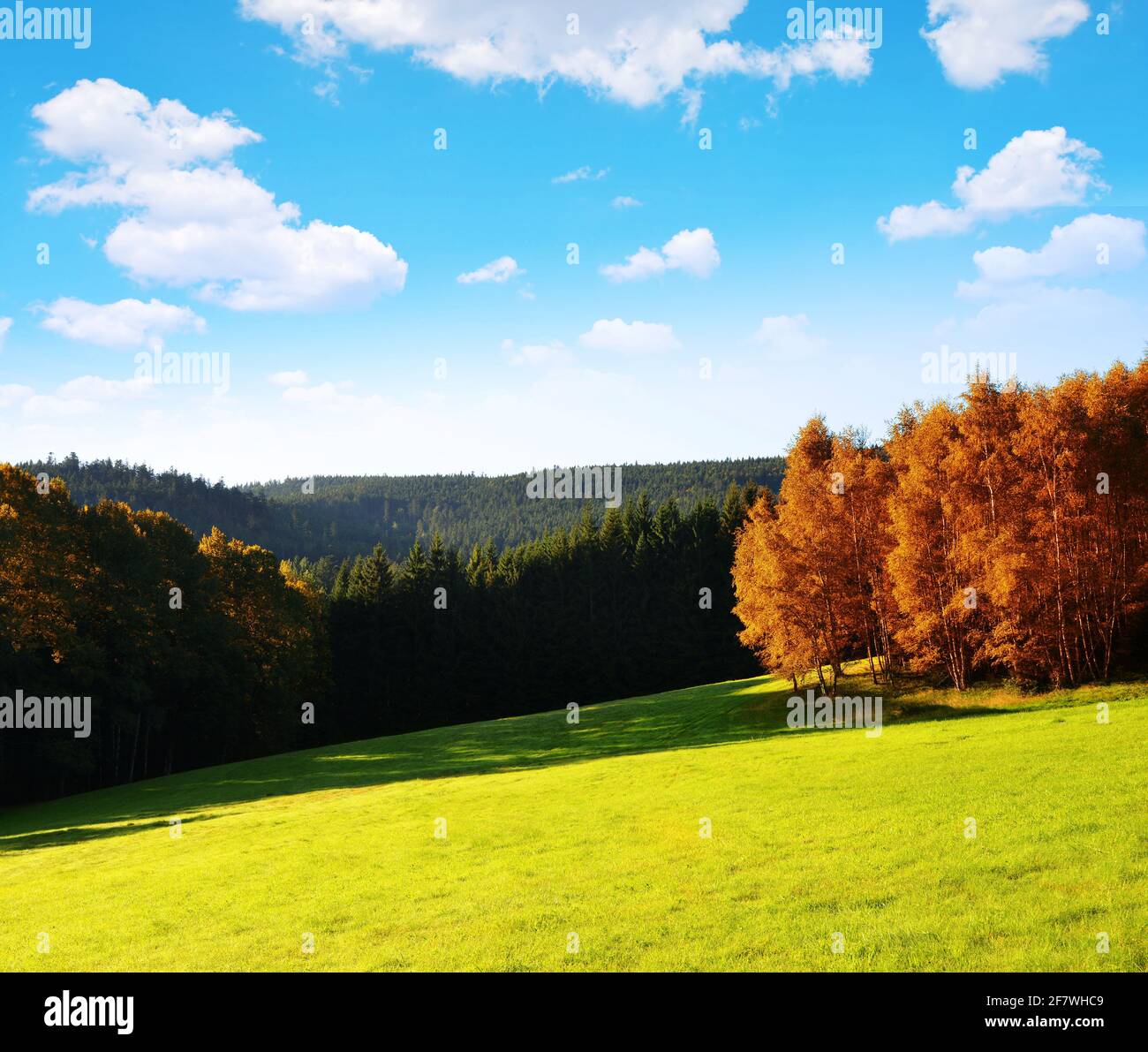 Paysage d'automne dans le parc national de Sumava, République tchèque. Banque D'Images