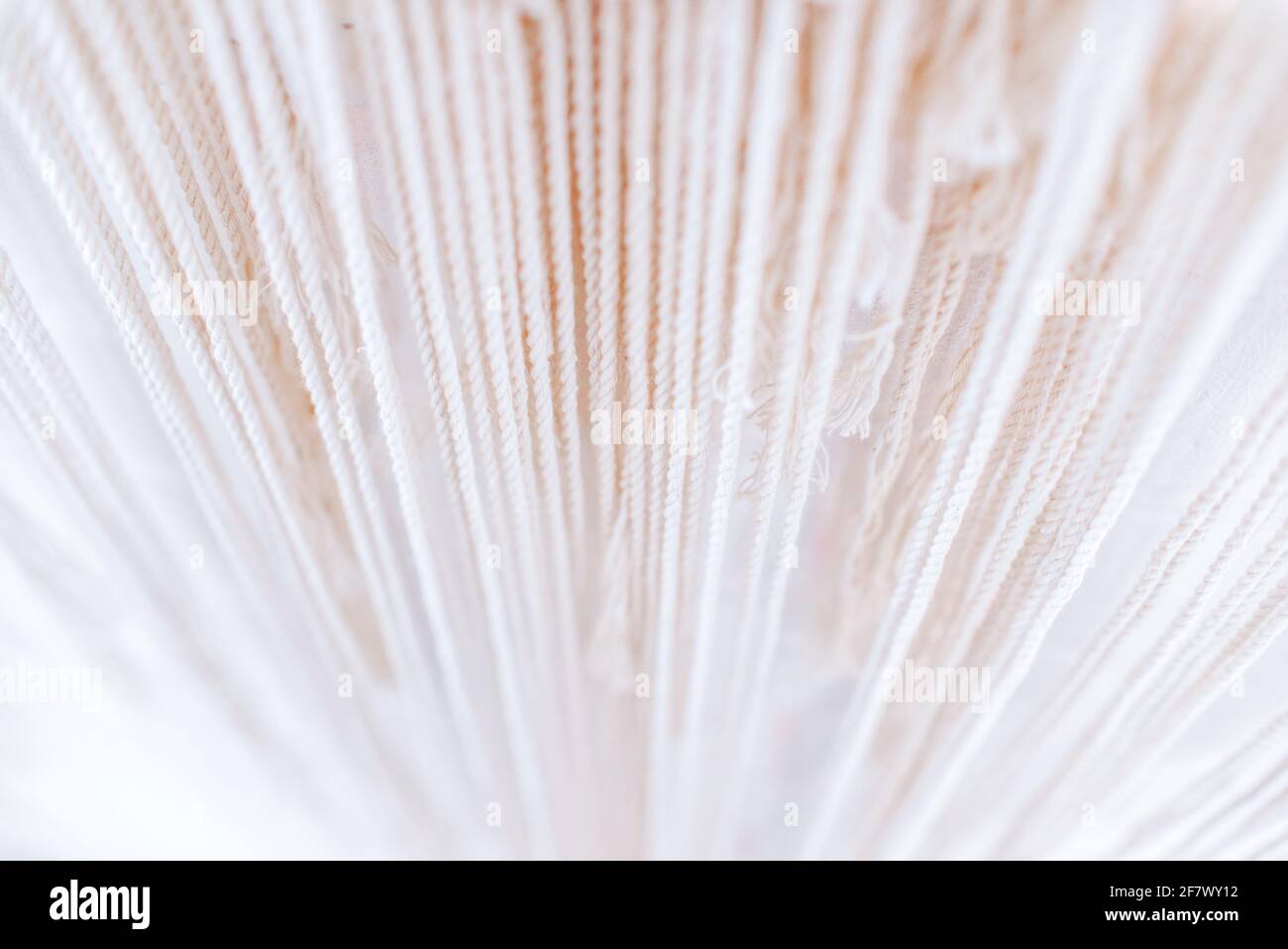 les fils de macrame beige pendent de haut en bas Banque D'Images