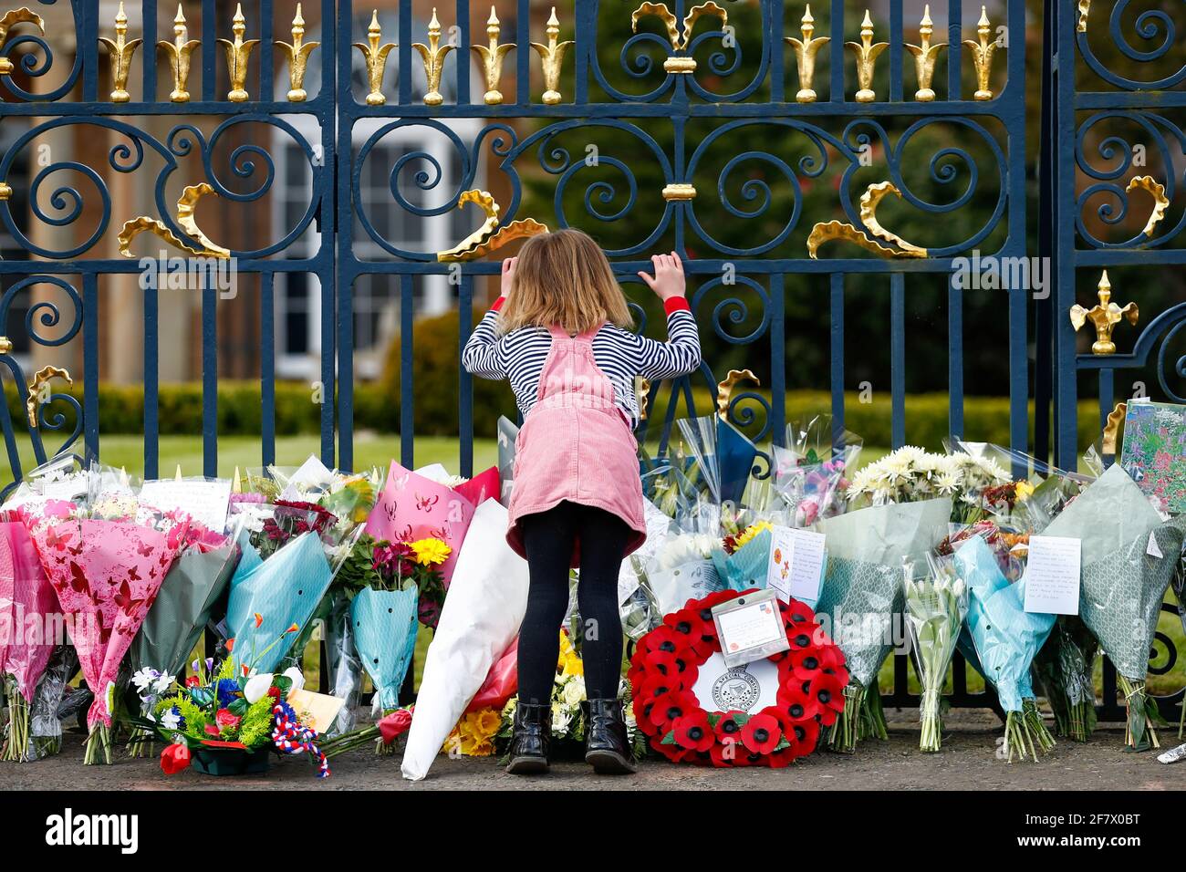 Une jeune fille se tient devant des fleurs placées au château de Hillsborough après la mort du prince Philip, mari de la reine Elizabeth, à l'âge de 99 ans, à Hillsborough, en Irlande du Nord, le 10 avril 2021. REUTERS/Jason Cairnduff Banque D'Images