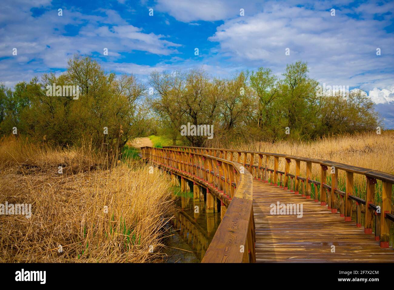 Plan horizontal d'un pont de passerelle en bois avec rambarde et de l'herbe  sèche des deux côtés Photo Stock - Alamy