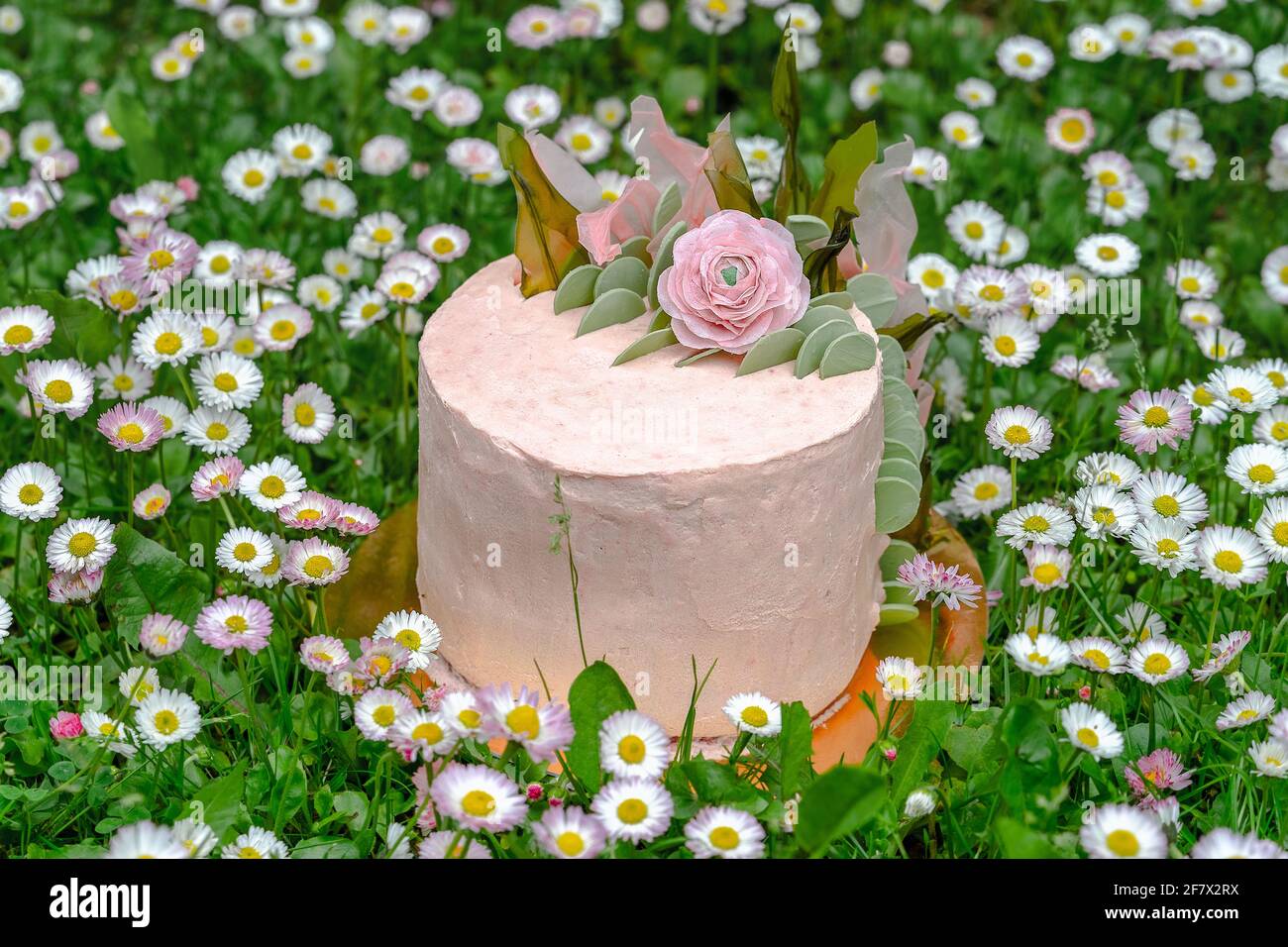 Impressionnante tarte végétalienne non conventionnelle de couleur pastel dans un pré de fleurs printanières. Vue en hauteur, gros plan, mise au point sélective. Concept de santé Banque D'Images