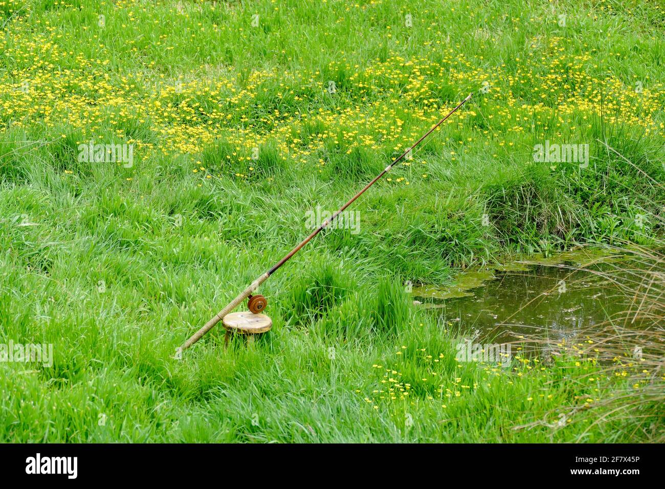 paysage riverain, y compris une canne à pêche dans une ambiance verte herbacée Banque D'Images