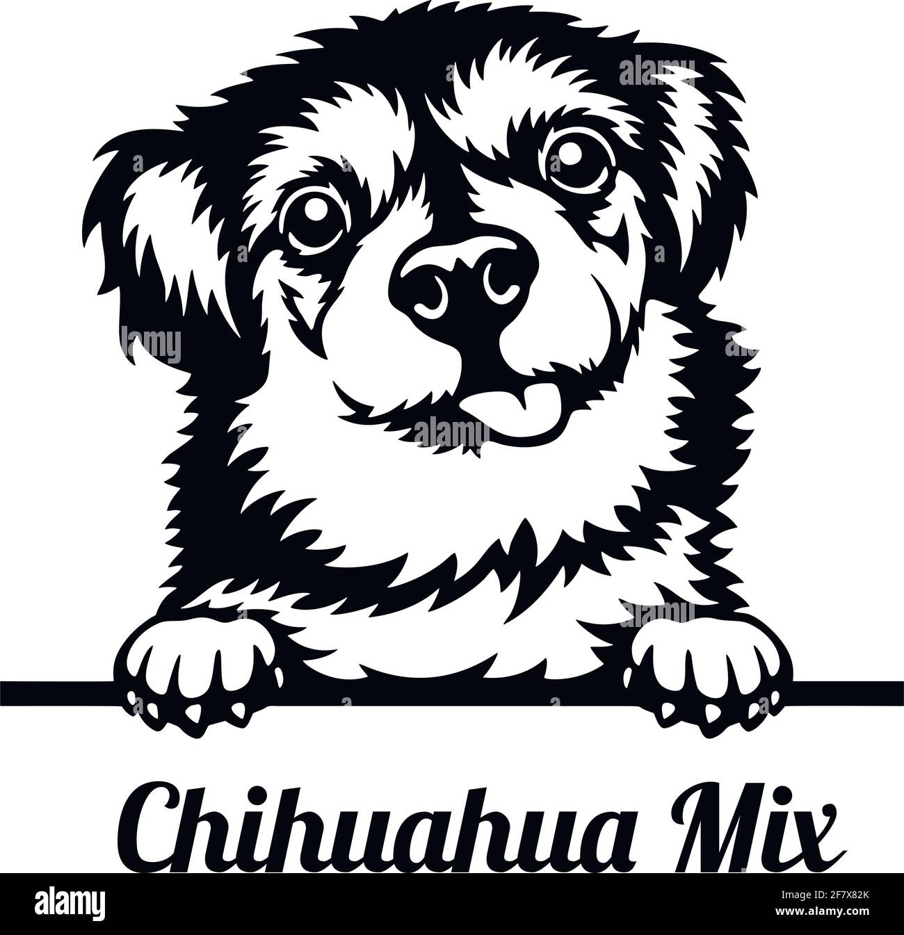 Chihuahua Mix Peeking Dog - tête isolée sur blanc Illustration de Vecteur