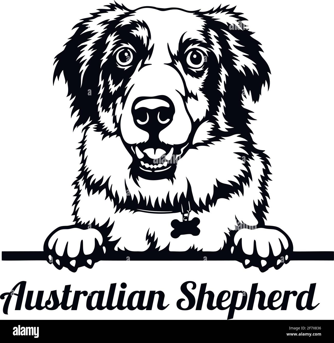 Chien de Pékin de berger anatolien - tête isolée sur blanc Illustration de Vecteur