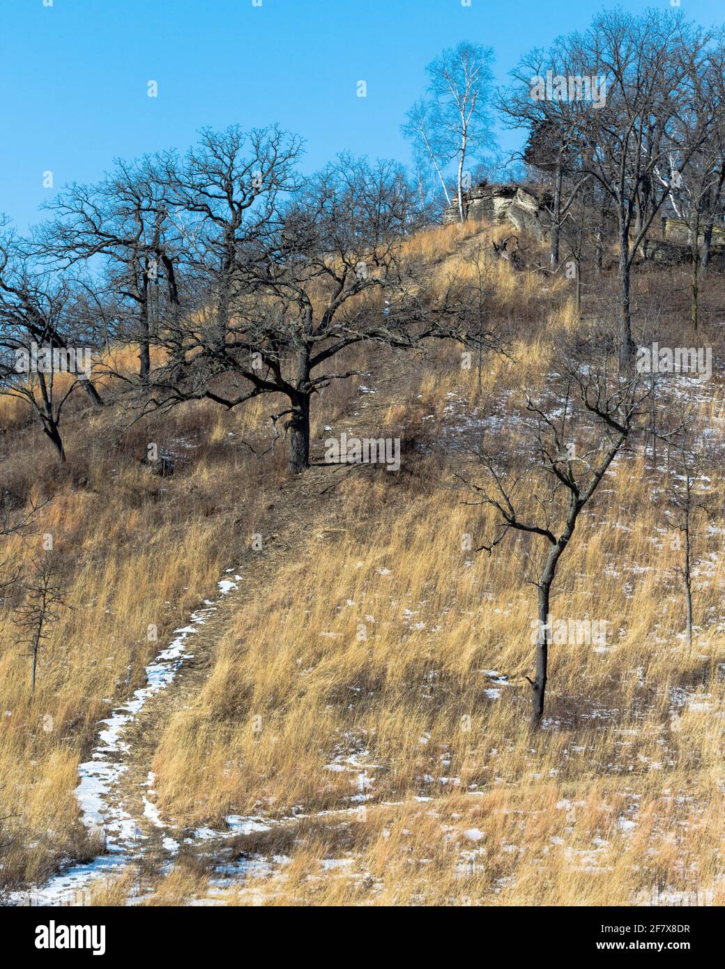 6 janvier 2017 après avoir fait quelques choses, j'ai couru à Pleasant Valley Conservancy juste pour prendre cette photo. Il fait très froid dehors avec un Banque D'Images