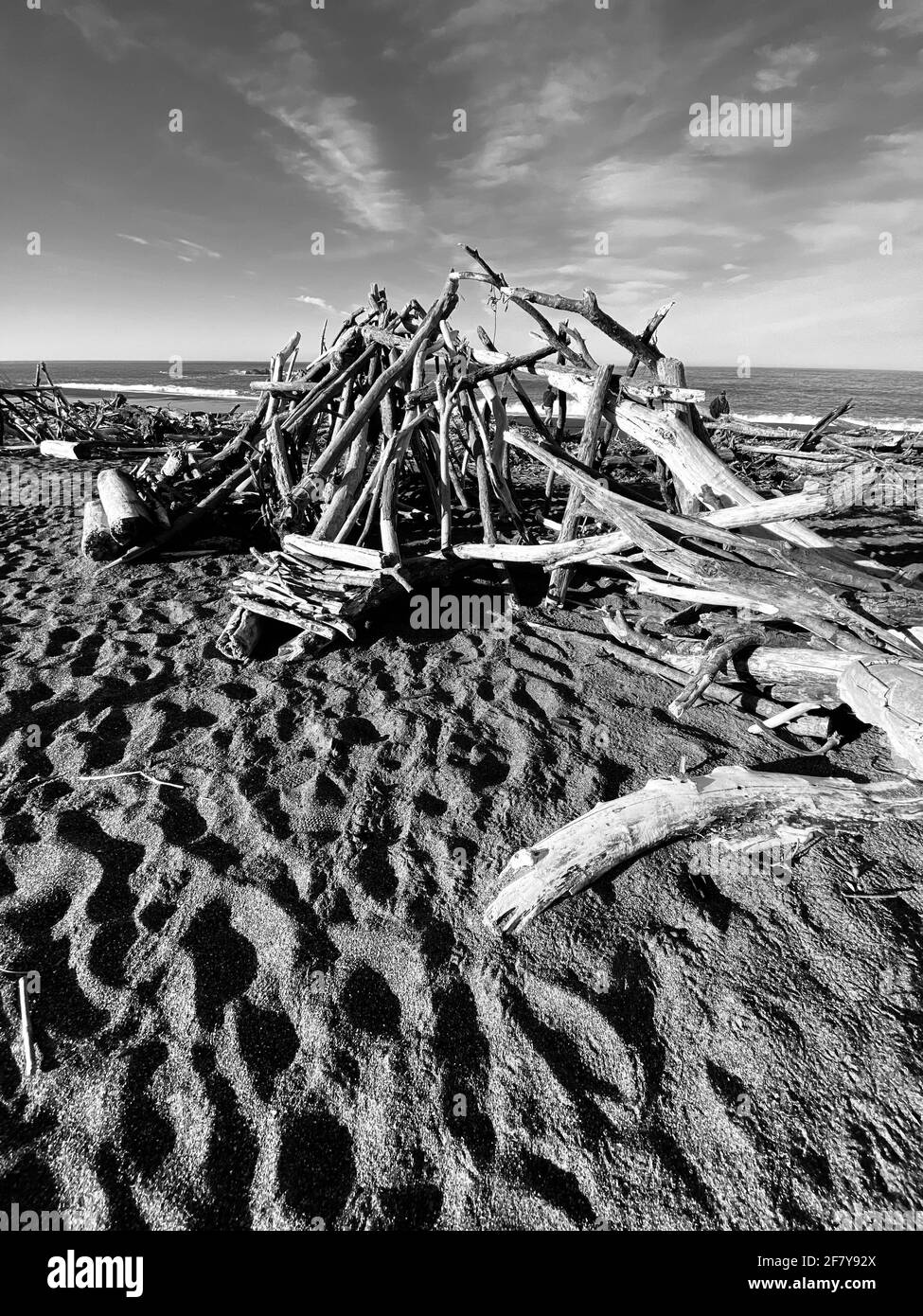 Installation d'art de bois dérive sur la plage à, Cambria Californie résumé, Californie côte centrale. Photo de Jennifer Graylock-Graylock.com Banque D'Images