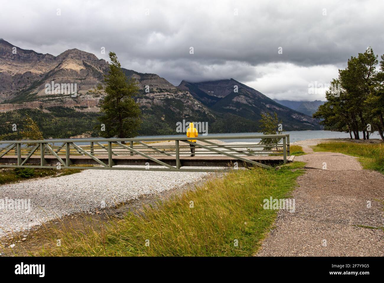 Fille dans une veste de pluie jaune debout sur un pont Banque D'Images